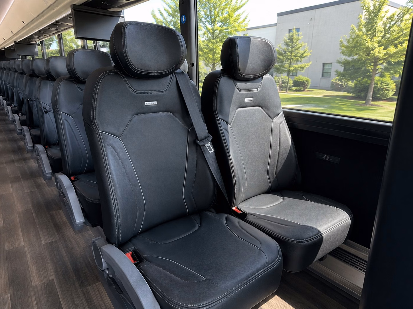 bachelorette and bachelor party transportation across el paso s best nightlife districts